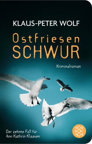 Buchcover Klaus-Peter Wolf Klaasen Band 10 Ostfriesenschwur